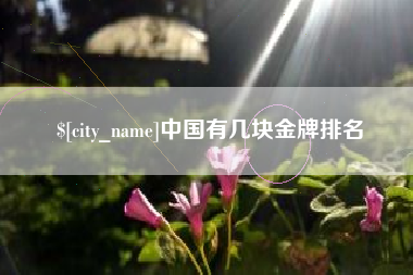 临沂中国有几块金牌排名