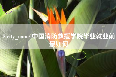 临沂中国消防救援学院毕业就业前景如何