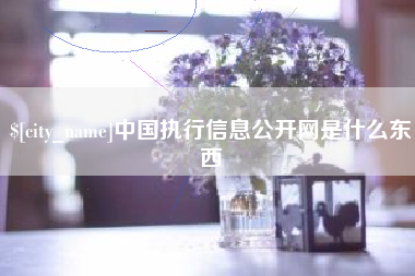 临沂中国执行信息公开网是什么东西