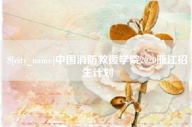 临沂中国消防救援学院2020浙江招生计划