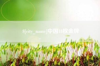 临沂中国18枚金牌