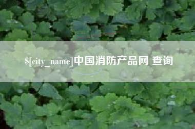 临沂中国消防产品网 查询