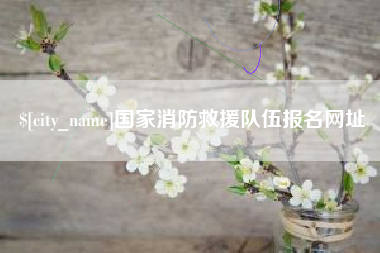 临沂国家消防救援队伍报名网址