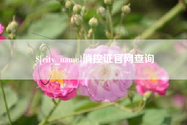 临沂消控证官网查询