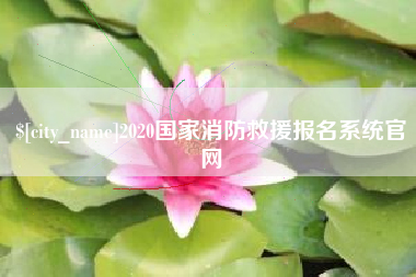 临沂2020国家消防救援报名系统官网