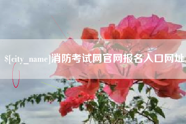 临沂消防考试网官网报名入口网址