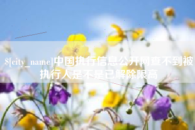临沂中国执行信息公开网查不到被执行人是不是已解除限高