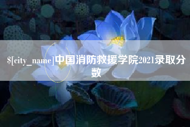 临沂中国消防救援学院2021录取分数