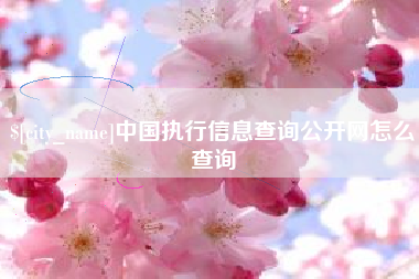 临沂中国执行信息查询公开网怎么查询