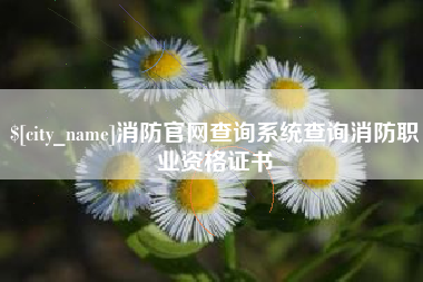 临沂消防官网查询系统查询消防职业资格证书