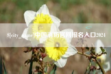 临沂中国消防官网报名入口2024