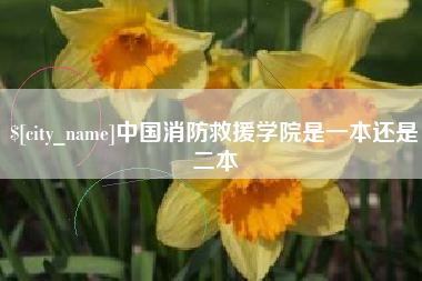 临沂中国消防救援学院是一本还是二本
