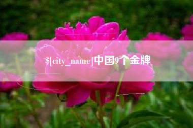 临沂中国9个金牌