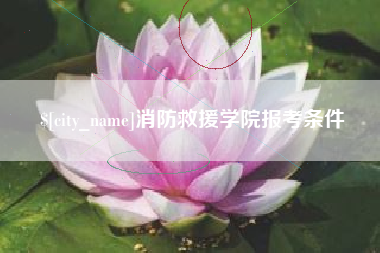 临沂消防救援学院报考条件