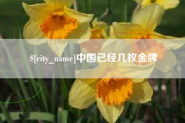 临沂中国已经几枚金牌