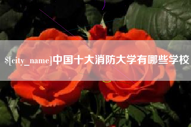 临沂中国十大消防大学有哪些学校