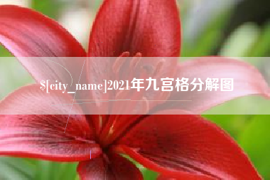 临沂2021年九宫格分解图