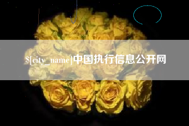 临沂中国执行信息公开网
