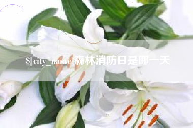 临沂森林消防日是哪一天