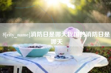 临沂消防日是哪天我国的消防日是哪天