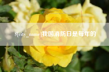 临沂我国消防日是每年的