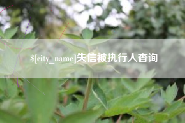 临沂失信被执行人杳询