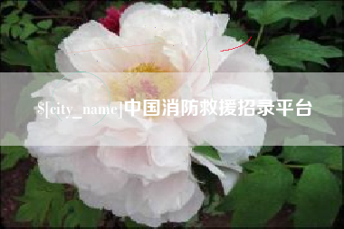 临沂中国消防救援招录平台