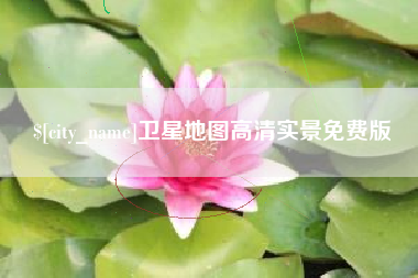 临沂卫星地图高清实景免费版