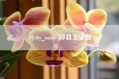 临沂邱县王子磊