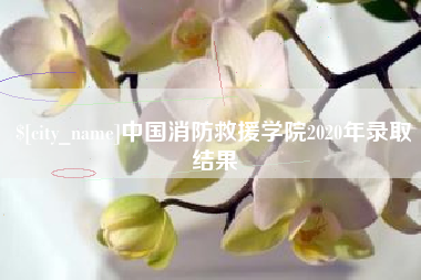 临沂中国消防救援学院2020年录取结果