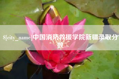 临沂中国消防救援学院新疆录取分数
