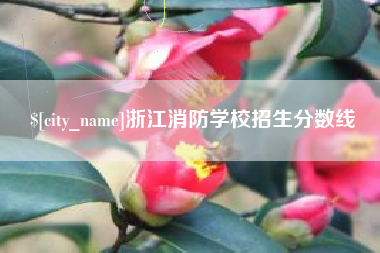 临沂浙江消防学校招生分数线