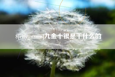 临沂九金十银是干什么的