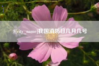 临沂我国消防日几月几号