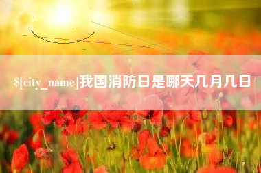 临沂我国消防日是哪天几月几日