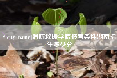 临沂消防救援学院报考条件湖南招生多少分