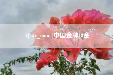 临沂中国金牌18金