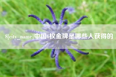 临沂中国6枚金牌是哪些人获得的