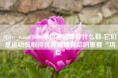 临沂5000米世界冠军穿什么鞋-它们是运动员取得优异成绩背后的重要“功臣”