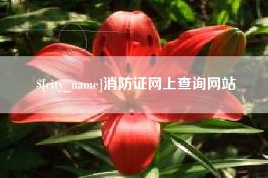 临沂消防证网上查询网站