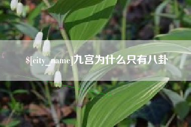 临沂九宫为什么只有八卦