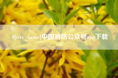 临沂中国消防公众号app下载