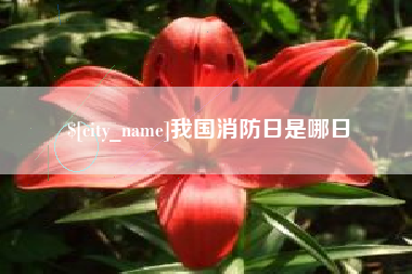 临沂我国消防日是哪日
