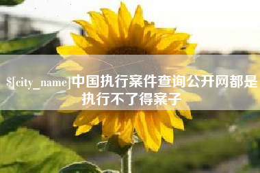 临沂中国执行案件查询公开网都是执行不了得案子
