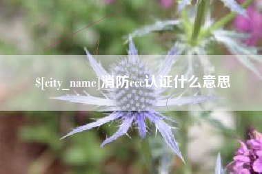 临沂消防ccc认证什么意思