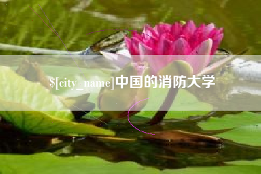临沂中国的消防大学