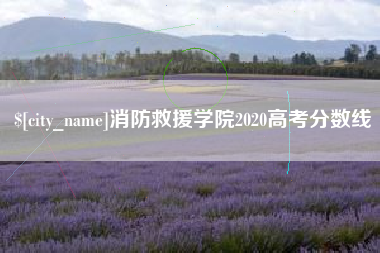 临沂消防救援学院2020高考分数线