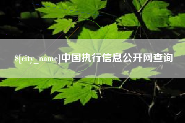 临沂中国执行信息公开网查询