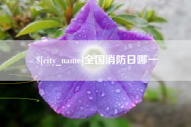 临沂全国消防日哪一