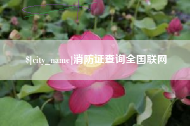 临沂消防证查询全国联网